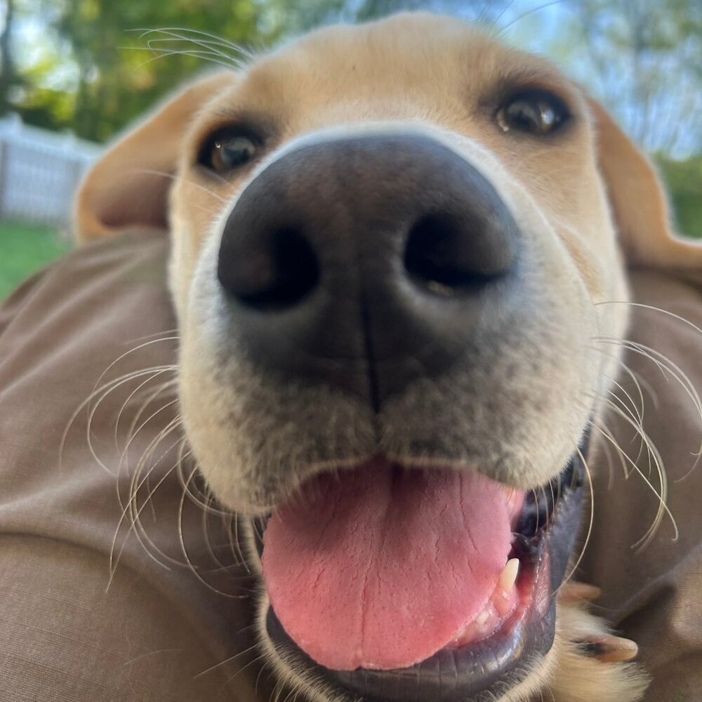 Hello and Have a Happy Day!!!
